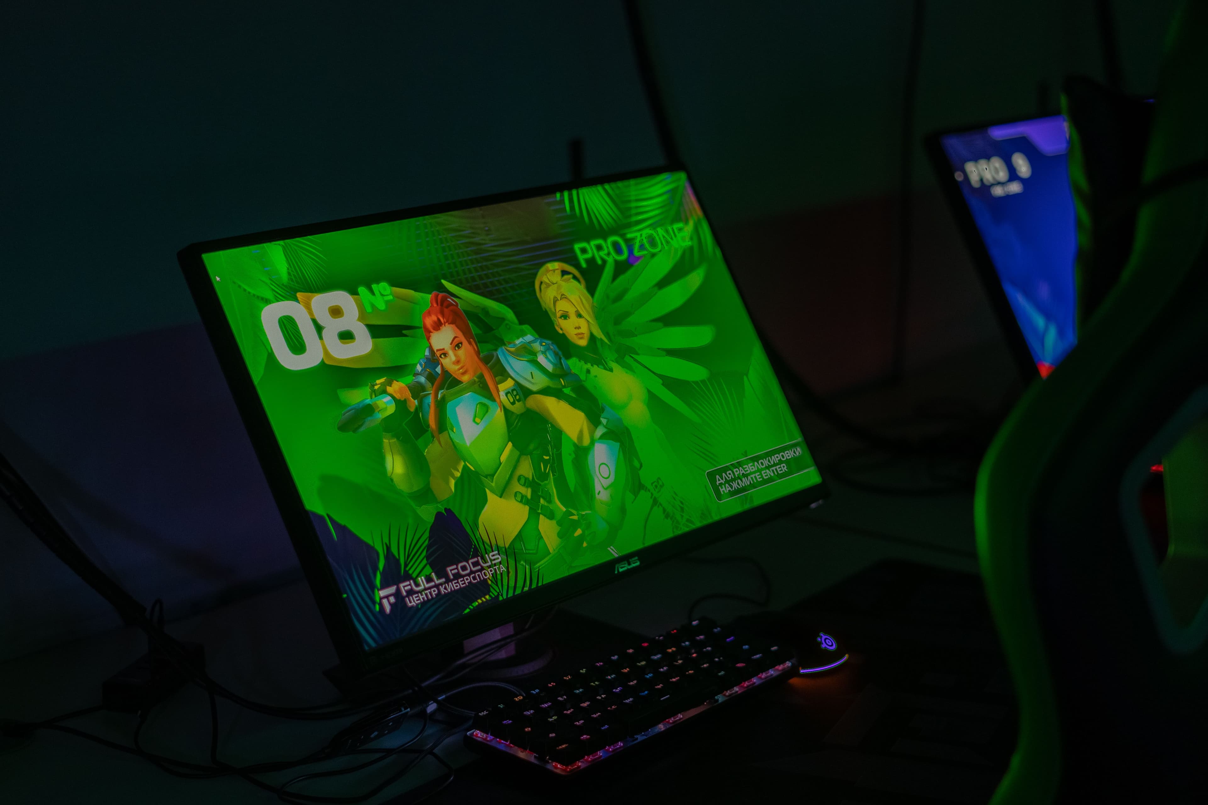 PRO ZONE
